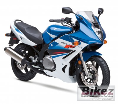 2010 Suzuki GS500F photo